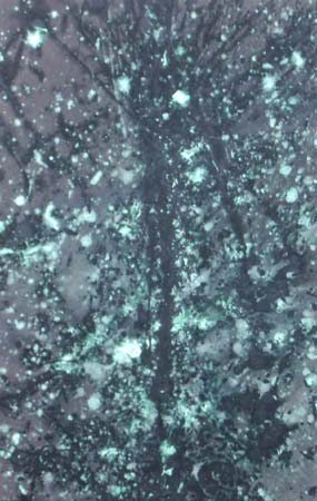 spirit tree