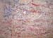 american flag of hope and endurance