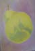 study of a pear