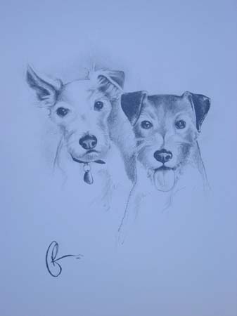 jake and zoey portrait
