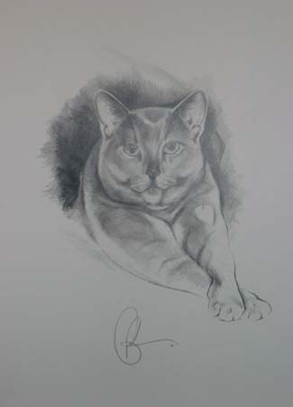 puki