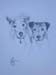 jake and zoey portrait