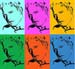 warholish study